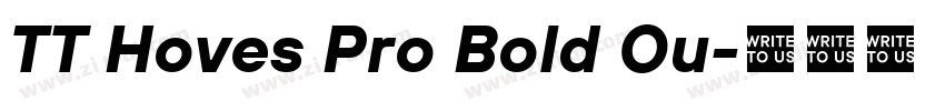 TT Hoves Pro Bold Ou字体转换